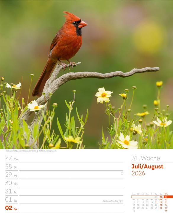 Actual product image Vögel - Tier-Wochenplaner 2026 (25 x 33 cm, German)