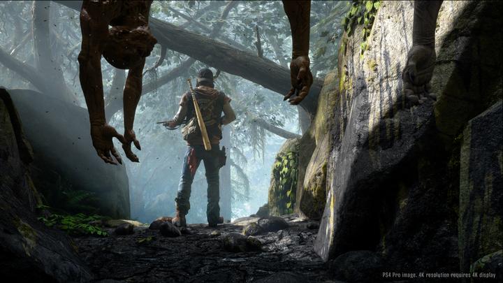 Produktbild Sony Days Gone, PS4 Standard PlayStation 4 (PS4)