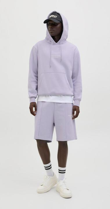 Image du produit Jack & Jones Jpstkane Vesterbro Sweat Shorts Lng Sn (M)