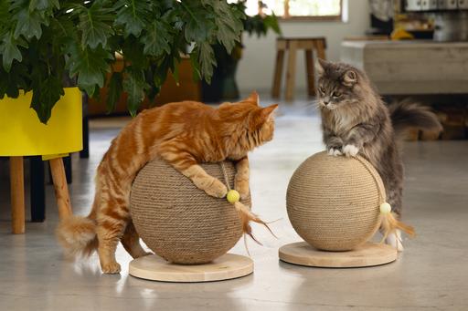 Actual product image Designed by Lotte Scratch ball Balty (31.50 cm, Nature)