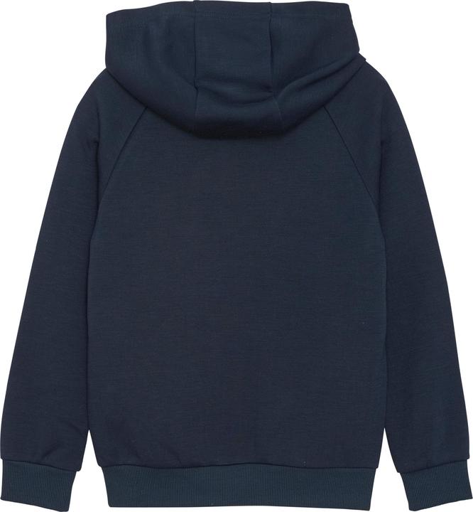 Actual product image Color Kids Solid sweat hoodie (104)