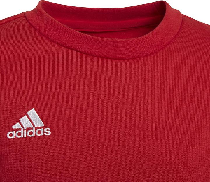 Actual product image adidas Entrada 22 sweatshirt kids (164)