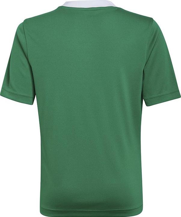 Actual product image adidas Entrada 22 Jersey (116)