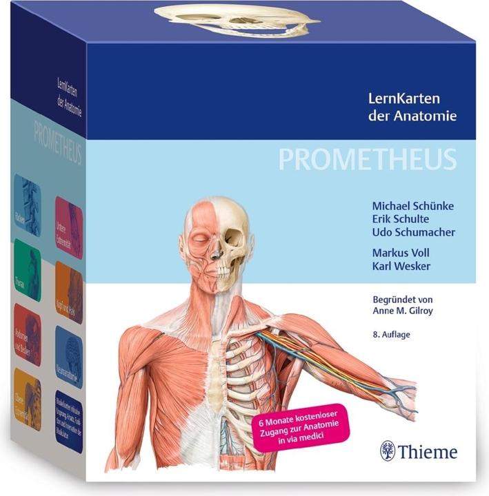Prometheus LernKarten der Anatomie (Deutsch, Erik Schulte, Udo Schumacher, Michael Schünke, 2022)