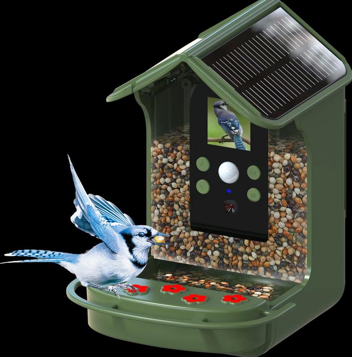 Image du produit Braun Photo BRAUN Bird Cam 130 solaire