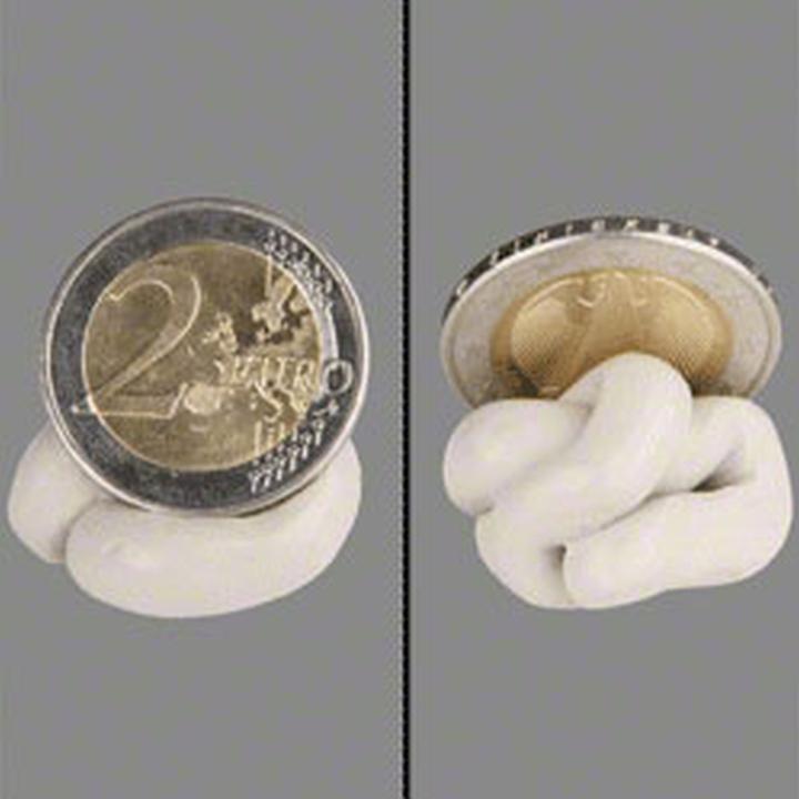 Actual product image Walimex Adhesive paste Value Pack 300g (Further accessories)