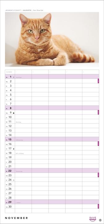 Produktbild Whiskas'Cattitude'Familienplaner2026 (21 x 45 cm, Harter Einband, Deutsch)
