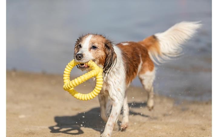 Actual product image Trixie Aqua Toy Gripper (Retrieval)
