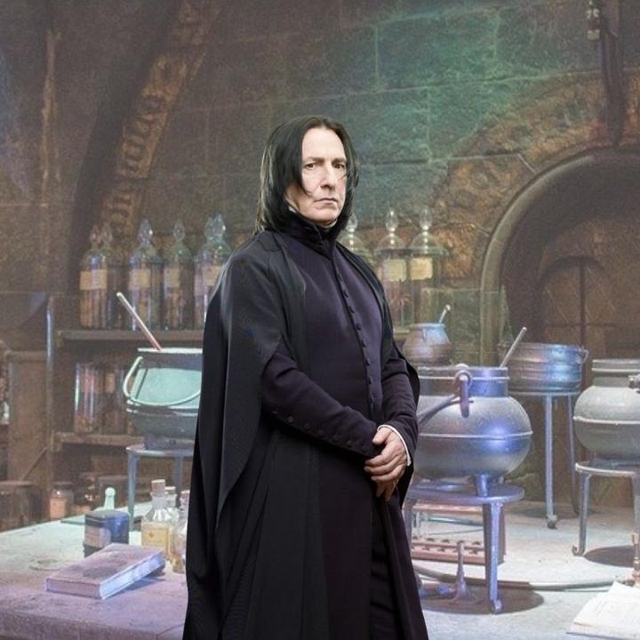 Immagine prodotto Noble Collection Bacchetta da muro del professor Piton di Harry Potter