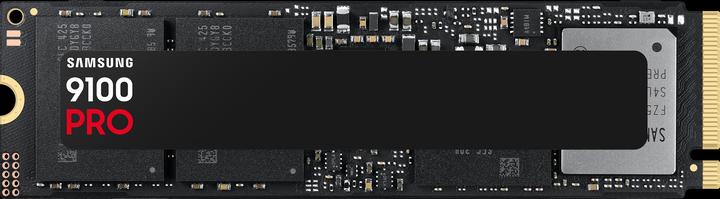 Samsung 9100 PRO (2000 GB, M.2 2280)