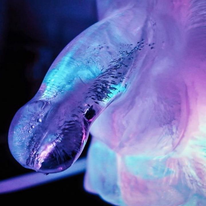 Actual product image Play Giant Penis Ice Shape For Drinks (Dice games, English)