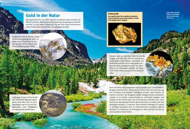 Actual product image Entdecke das Gold (German, Dr Markus Schade, 2017)