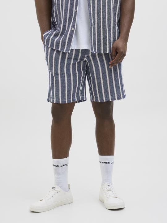 Produktbild Jack & Jones Jpstjaiden Coba Stripe Jog Short Sn Pls (42)