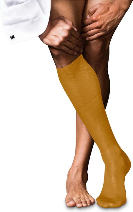 Ambre