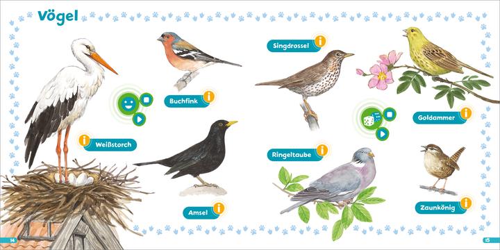 Produktbild Tessloff BOOKii® Hören und Staunen Mini Tiere (Deutsch, Luis-Max/Döring, Hans-Günther/Lohr, Brandstetter, Stefan/, Johann/Anders, 2023)