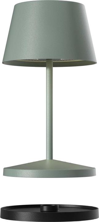 Verde oliva