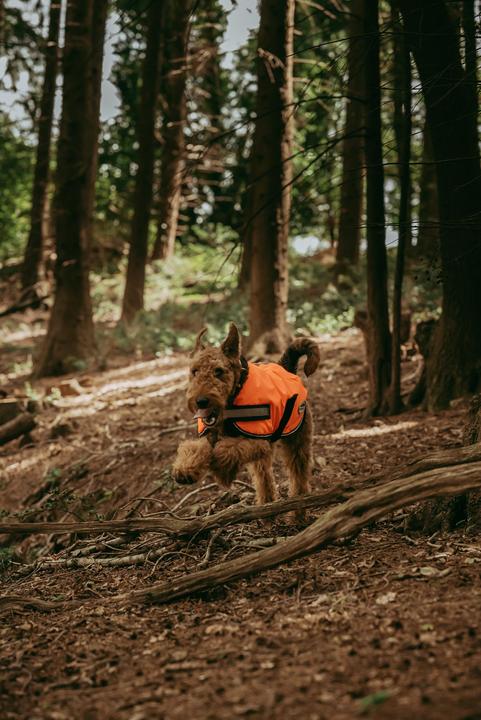 Image du produit Weatherbeeta Comfitec Parka réfléchissante 300D Manteau pour chien (30, Manteau pour chien)