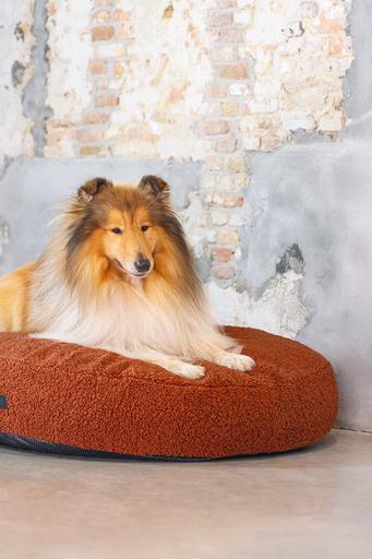 Actual product image Designed by Lotte Ribbed divan bed (Dog)