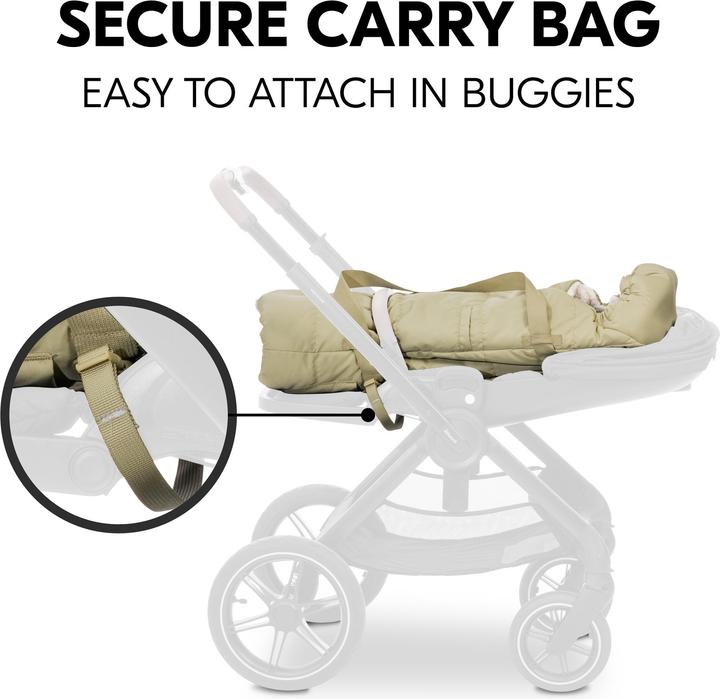 Image du produit Hauck Carry N Play
