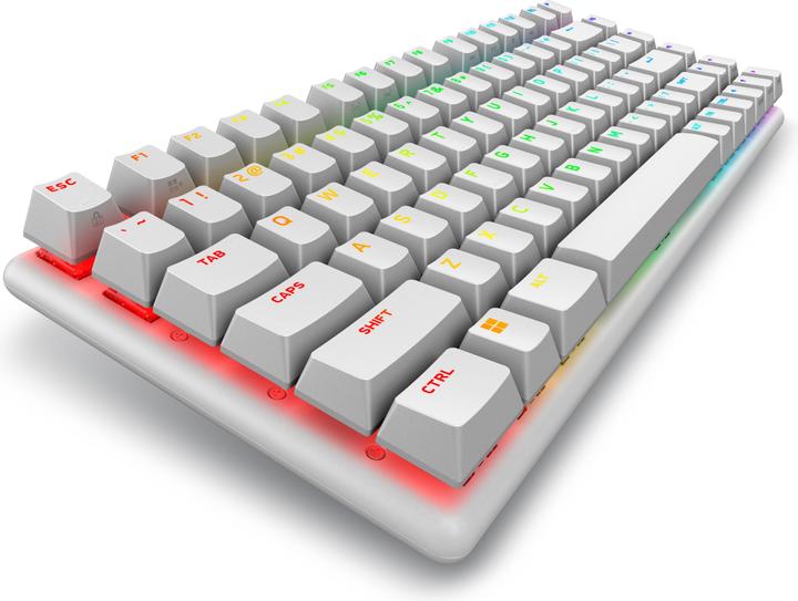 Image du produit Dell Alienware Pro Wireless Gaming Keyboard (US, Sans fil)