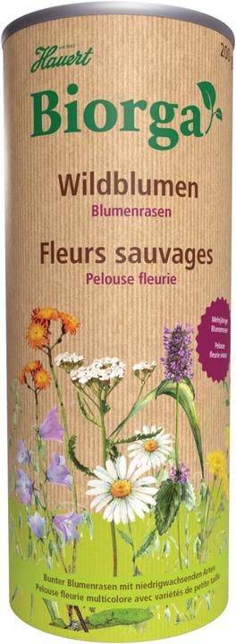 Image du produit Hauert Gazon fleuri Biorga (Réensemencement de la pelouse)