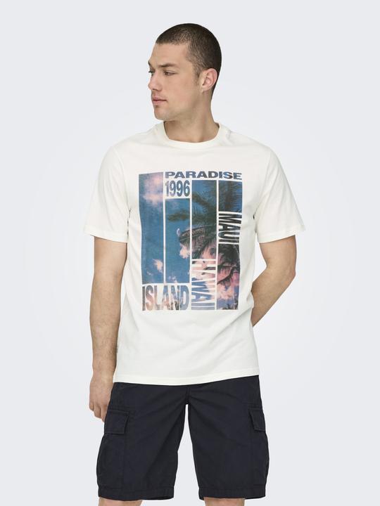 Produktbild Only & Sons T-Shirt Magdy Life Kurzarmshirt (XXL)