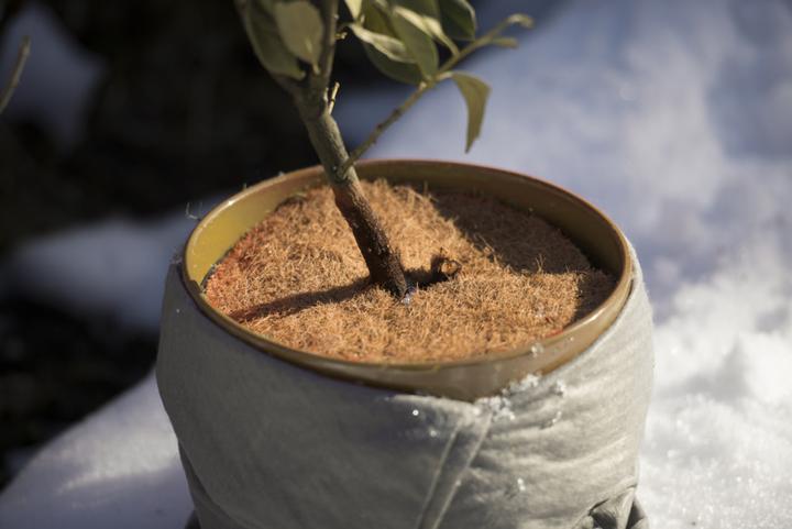 Actual product image Windhager Mulching disc Cocodisc