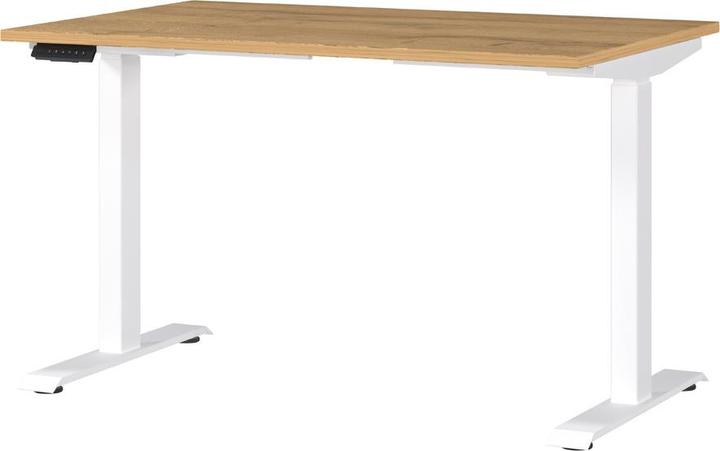 Actual product image Germania JET height-adjustable desk grandson oak rectangular, T-leg frame white 120.0 x 8 (120 x 72 cm)