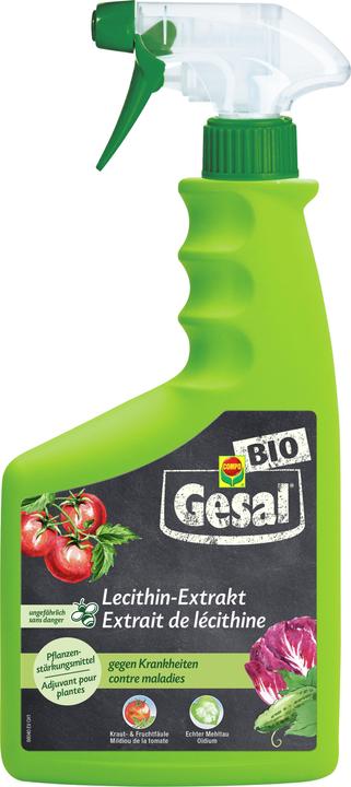 Produktbild Gesal Lecithin-Extrakt (Mehltau)