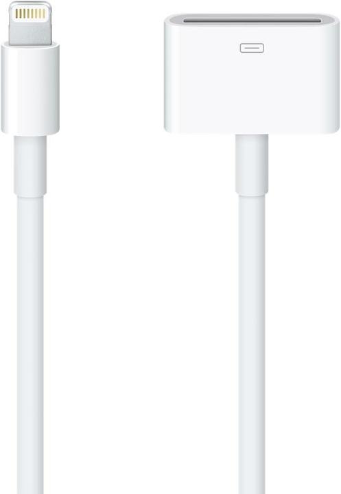 Actual product image Apple Lightning to 30-pin adapter (cable, 0.2m) (0.20 m)