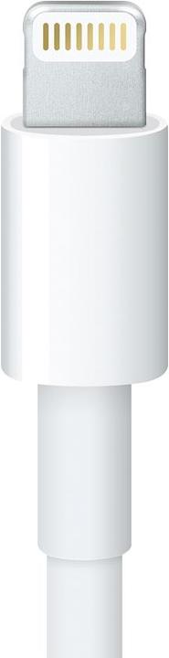 Actual product image Apple Lightning to 30-pin adapter (cable, 0.2m) (0.20 m)