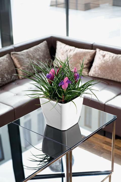 Produktbild Lechuza Quadro Ls (22.50 cm)