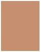 Actual product image Dior Forever Natural Bronze (05 Warm bronze, Bronzer, 9 g)