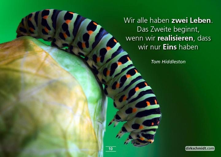 Immagine prodotto MUTivationsbox 2 - 101 Zitate im Postkartenformat (Tedesco, Dirk Schmidt, 2020)