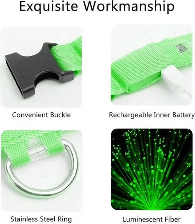 Produktbild Cbx Aufladbares LED-Hundehalsband Grösse L - 46-50cm (L, Hund)