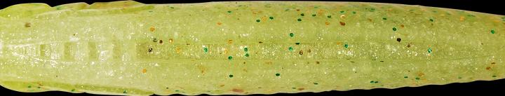 Image du produit Caperlan 338857 (13 cm)