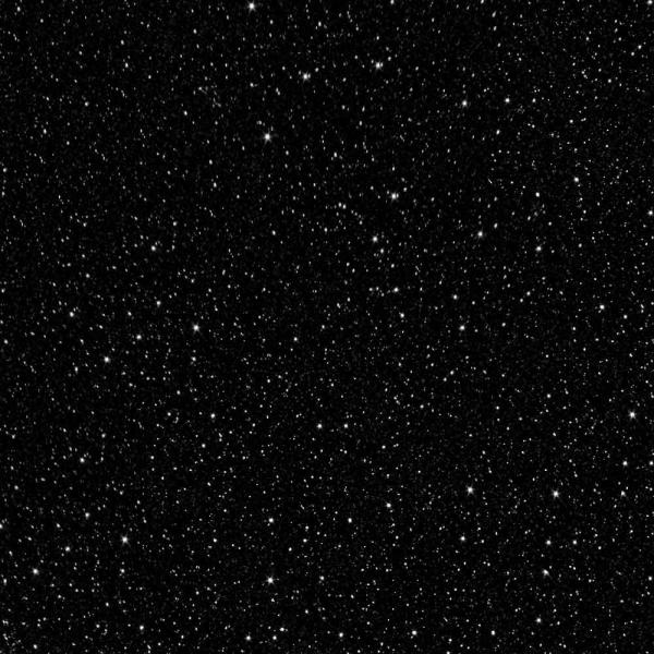 Actual product image Molly Lac Nail Art Velvet Effect Black (Black)