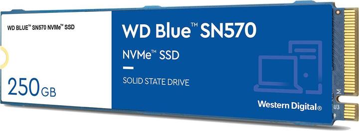 Actual product image WD Blue SN570 (250 GB, M.2 2280)