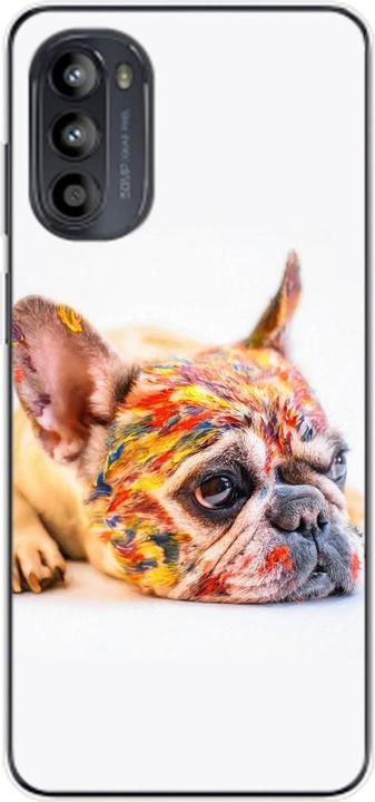 Bulldog coloured