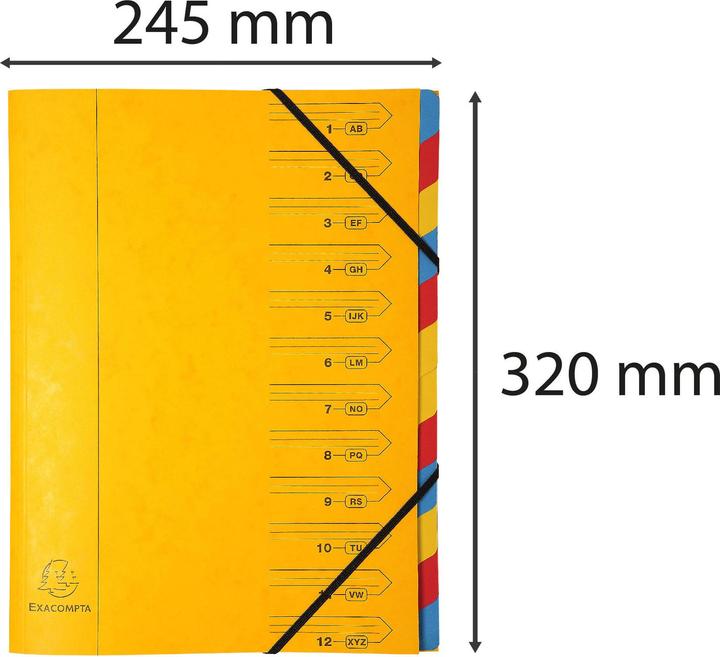 Actual product image Exacompta Stapled file folders (A4, 1 x)