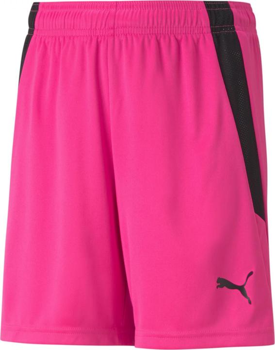 Image du produit Puma short teamLIGA Jr-704931 (176)