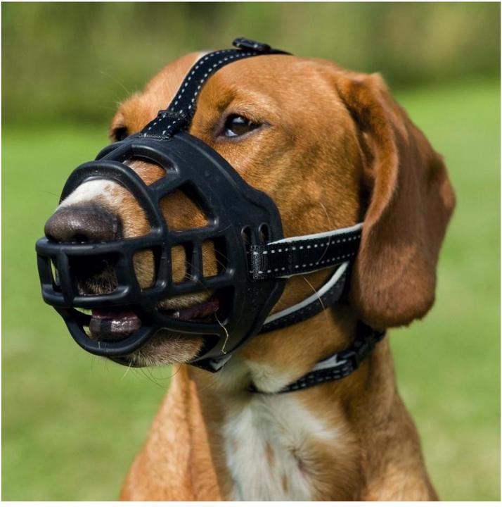 Image du produit Trixie Muselière Muzzle Flex (M, Chien, Général)