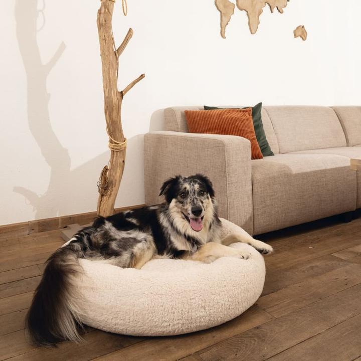 Produktbild Beeztees Memory Foam Liegebett Jaxx (Hund)