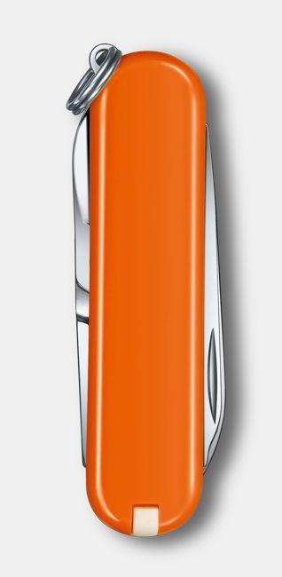 Actual product image Victorinox Cellidor