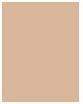 Image du produit Sensai Silky Bronze Natural Veil Compact (SC01 Léger)