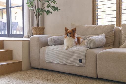 Actual product image Designed by Lotte Couch cushion Ribbed (Dog)