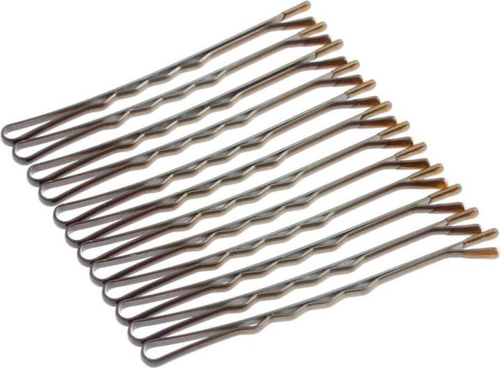 Actual product image DailyGo Bobby pin (12 pcs.)