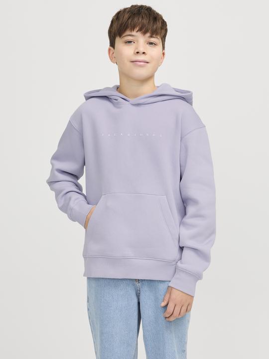 Produktbild Jack & Jones Jjestar Jj Sweat Hood Noos Jnr (176)