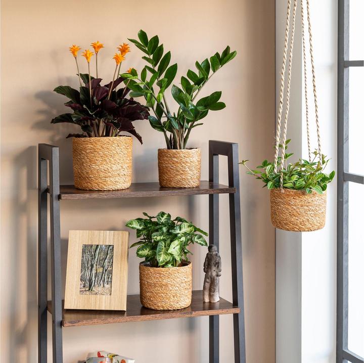 Actual product image Scheurich Seagrass 15, basket hanging basket/ made of Seagrass colour: groove, 15 cm diameter, 13 cm (15 cm)