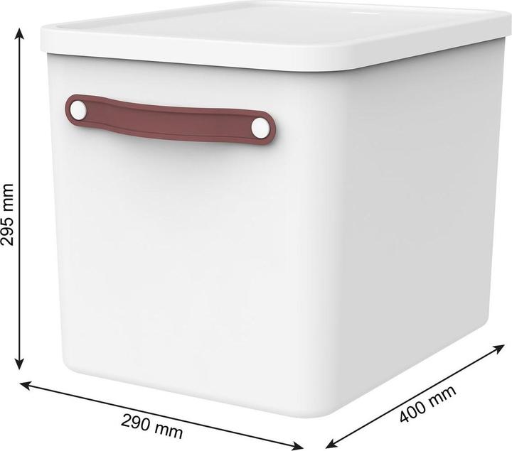 Immagine prodotto Rotho Archivio box my Paper (A4)